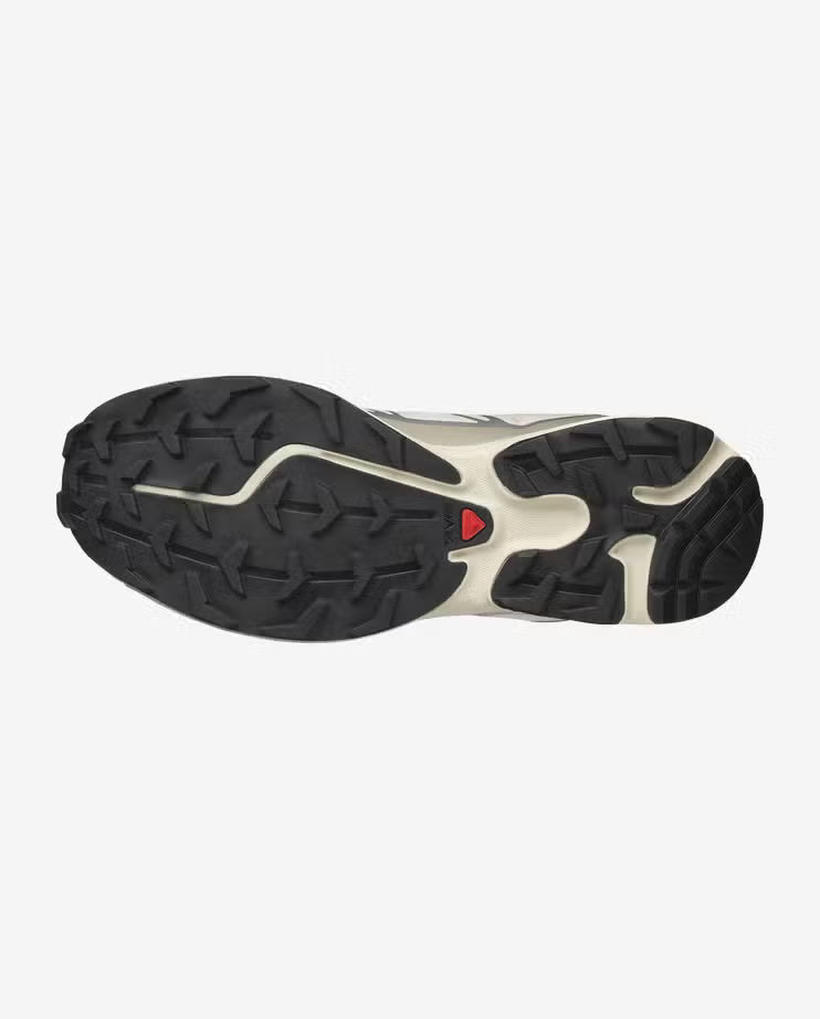 Salomon XT6