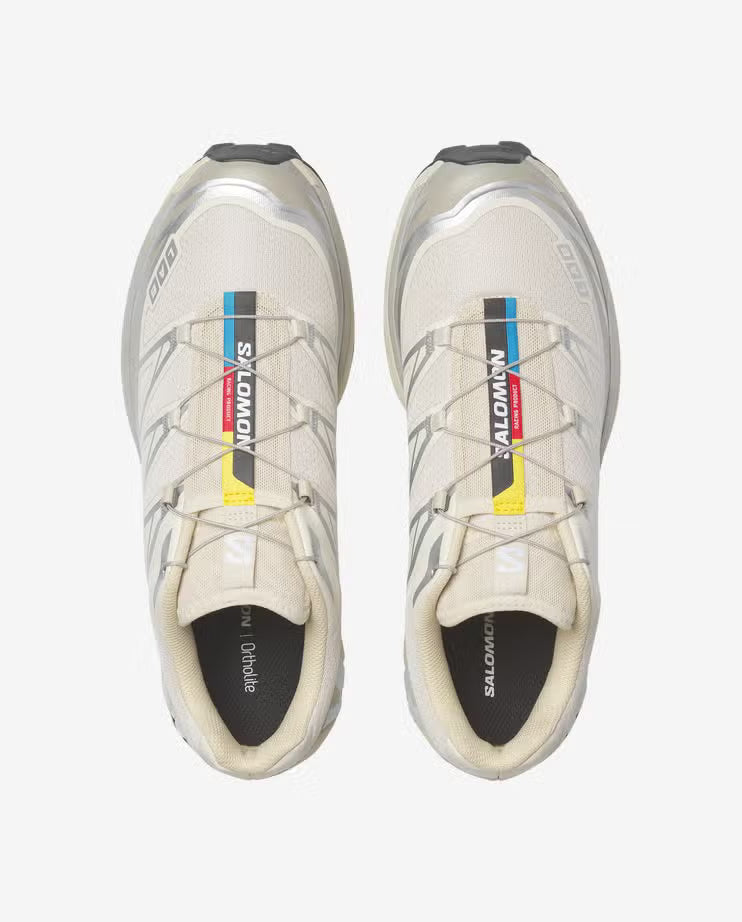 Salomon XT6
