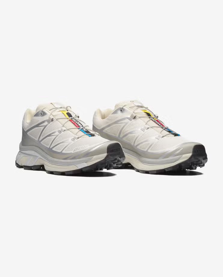 Salomon XT6