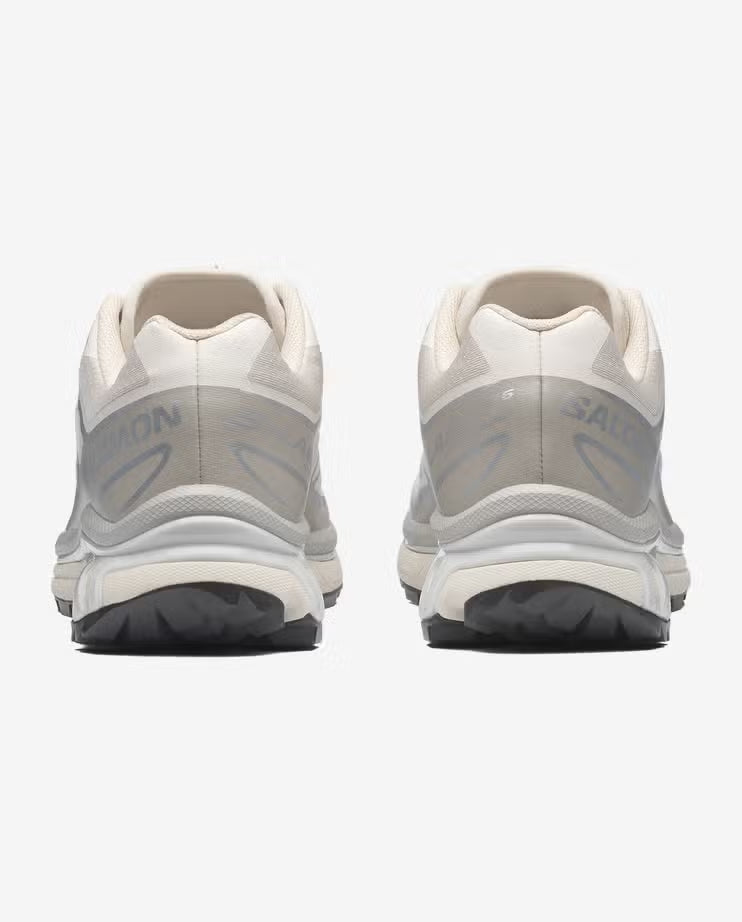 Salomon XT6