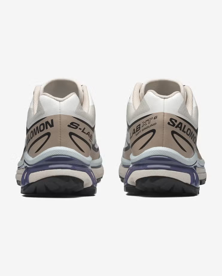 Salomon XT6