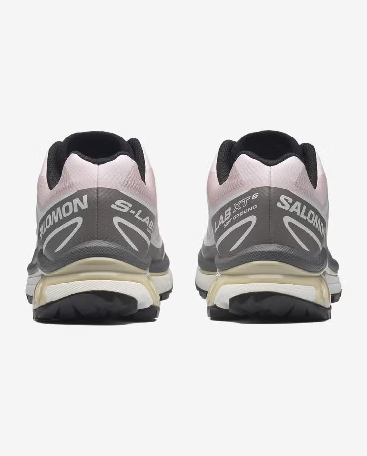 Salomon XT6