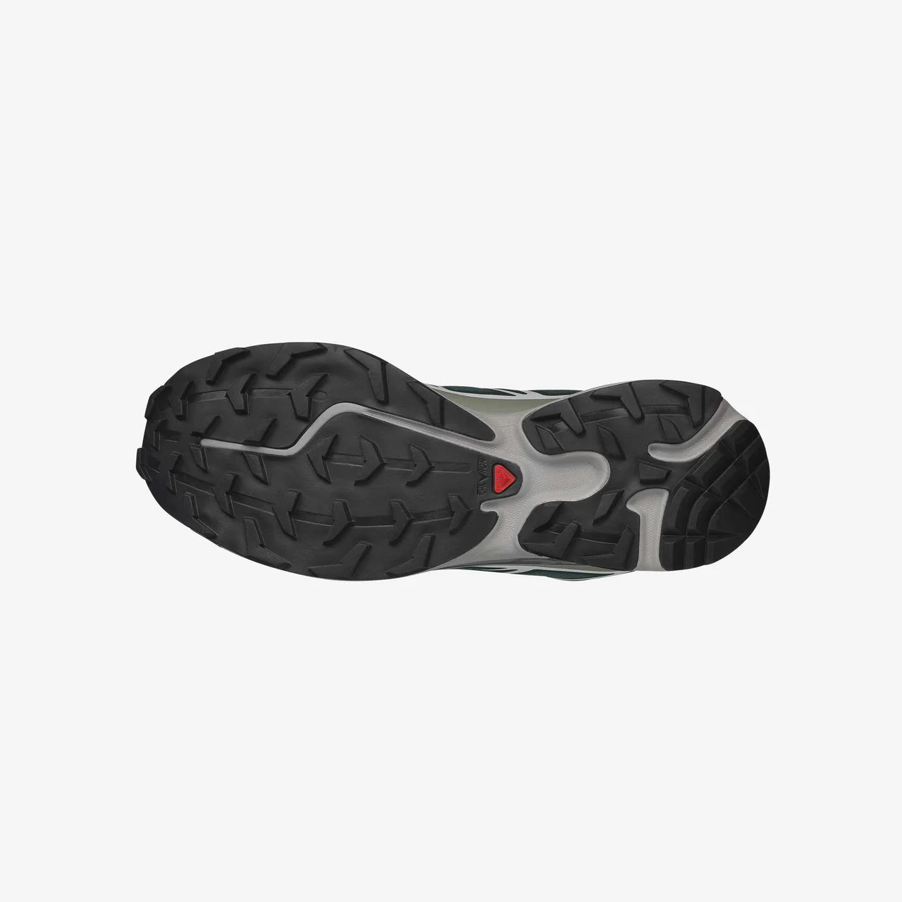 Salomon XT6